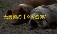无畏契约【XO/透饰/梓喵/自带过机器码/自带全换肤/过组号/过网吧盾】辅助